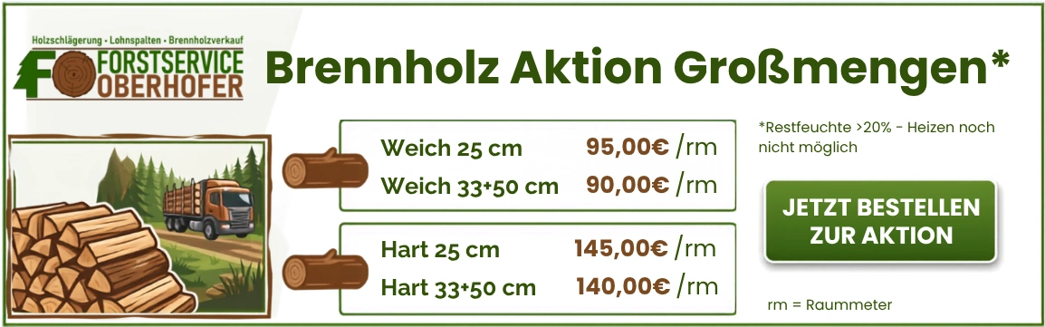 Aktion Brennholz
